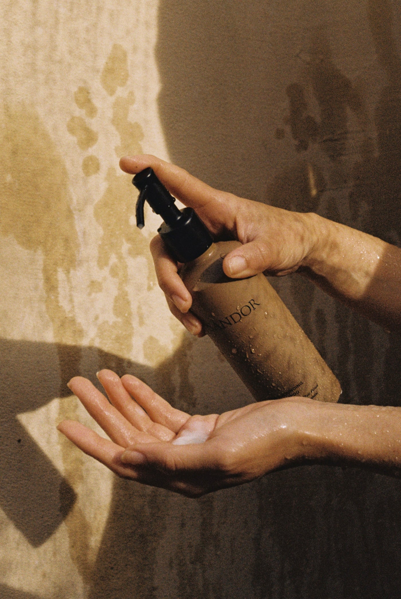 The Grounding Shampoo