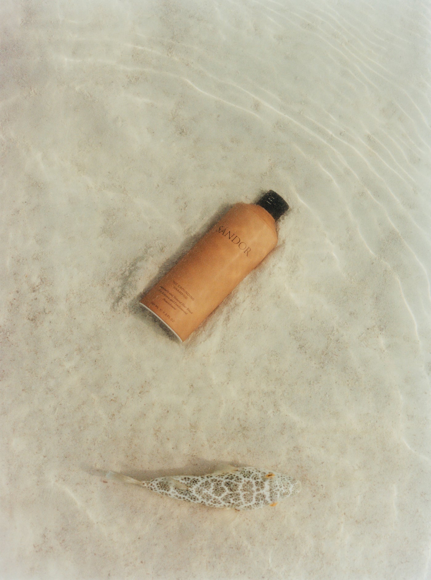 The Grounding Shampoo